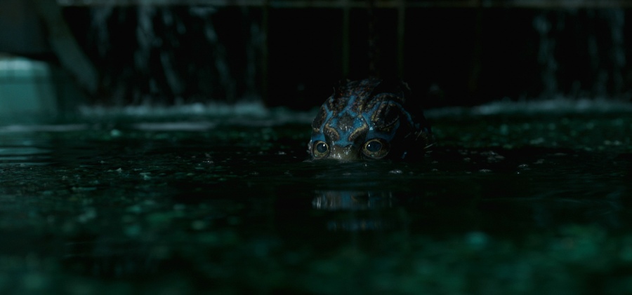 Oscarfilm: Eine Geschichte von Liebe und Verlust – „Shape of Water – Das Flüstern des Wassers“ von Guillermo del Toro